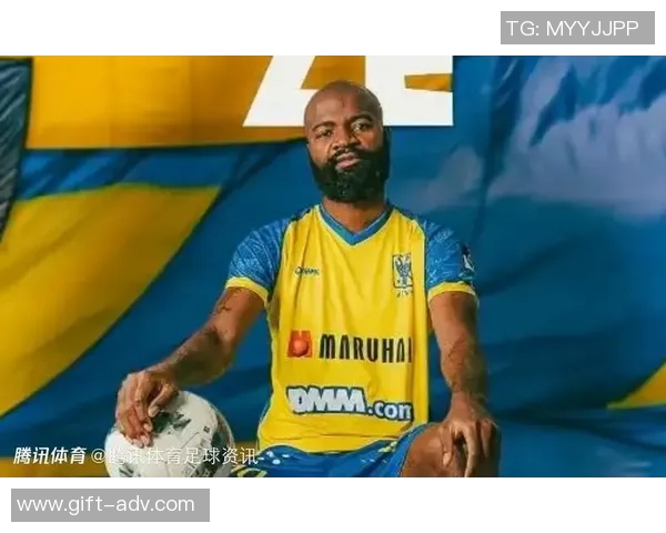 2010年喀麦隆足球队明星球员回顾与分析:技术、表现与影响力 2010年喀麦隆足球队明星球员回顾与分析:技术、表现与影响力