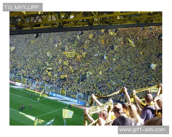 德国足球巨星引领未来 球场上的新高峰与崭新辉煌