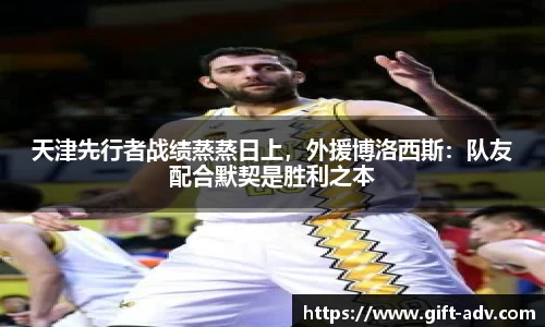 B体育bsports