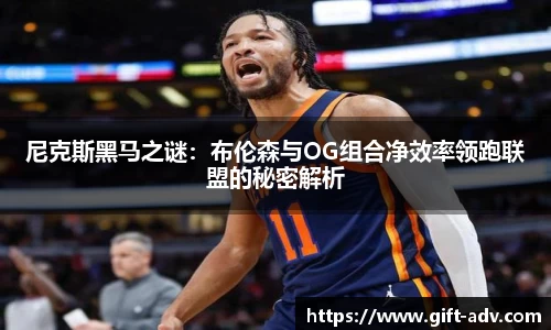 B体育bsports